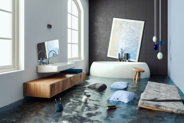 Best Water damage restoration services  in Hillsboro, WI