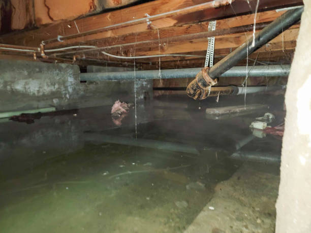 Best Fire Damage Restoration  in Hillsboro, WI