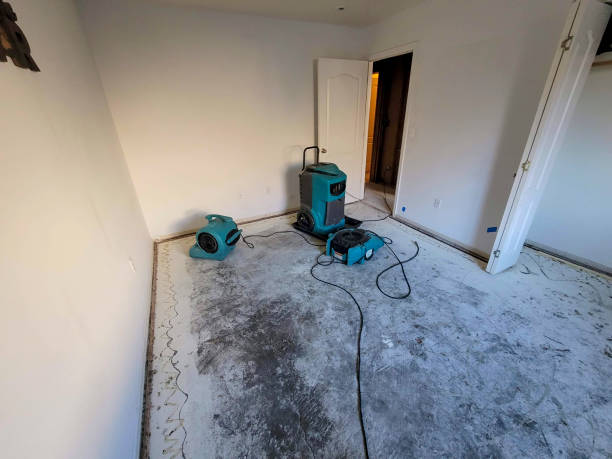 Best Flood damage cleanup  in Hillsboro, WI