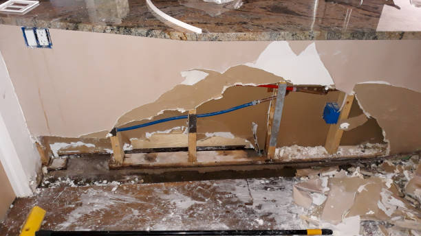 Best Water damage cleanup near me  in Hillsboro, WI