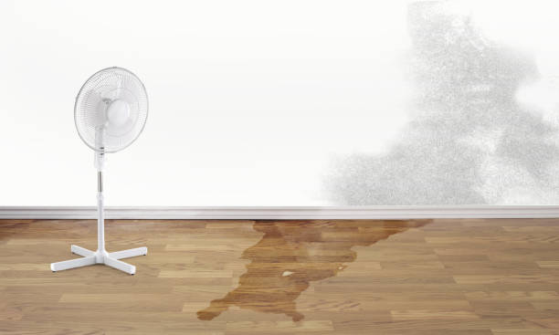  Hillsboro, WI Water damage restoration Pros