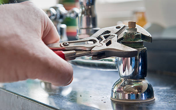 Best Professional water damage repair  in Hillsboro, WI