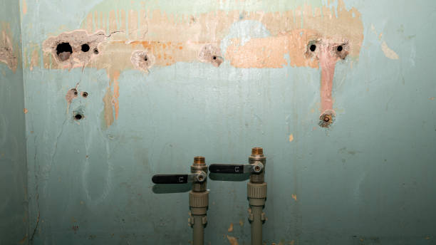 Best Carpet water damage restoration  in Hillsboro, WI