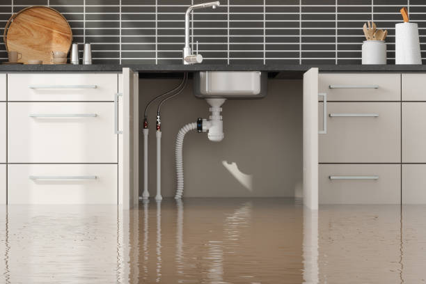 Best Water damage repair service  in Hillsboro, WI
